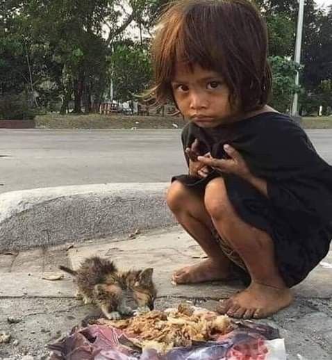 4d126ac2e24d128e2ab4e5a75ad9f357