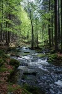 4d9a1d6ac70d0942c67e9a0ea5aa8430 4d9a1d6ac70d0942c67e9a0ea5aa8430