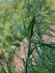 6eb82219 4735 4c1c 855f 74cb0e889e54 6eb82219 4735 4c1c 855f 74cb0e889e54