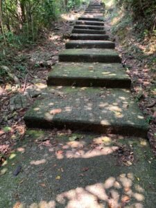 b6cb5636 09e8 415e 9842 5840c669c3e6 b6cb5636 09e8 415e 9842 5840c669c3e6