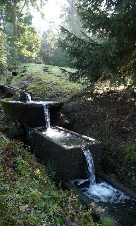 DEDICATION OF THE LATERAN BASILICA bbef27df84de520d52bb2e7ba87ab4f2