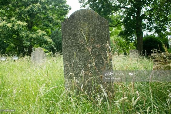 c750fe357df573a33566c8f0f3495d02